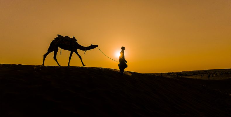 БЛАГОСЛОВЕНИЯ, НИСПОСЛАННЫЕ СЕМЬЕ КОРМИЛИЦЫ